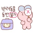 달꿈오토캠핑장