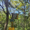 용마루1길 이미지