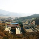 마금산온천 Daum카페