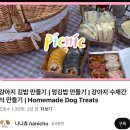 강아지용 김밥싸서 울 멍뭉이들이랑 봄피크닉 떠나요🧺🐶🌷