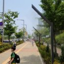 인천영종초등학교 이미지