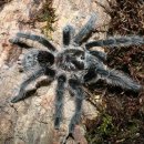 한종농장 이미지