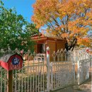 자연스테이 이미지