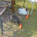 타임스토리펜션 이미지