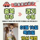 경기켄넬 이미지