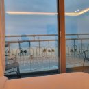 퍼플 315 이미지