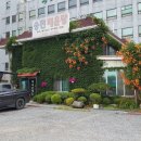 능곡송천매운탕 이미지