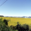 고향내음 이미지