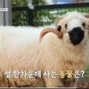 종점포차 이미지