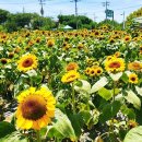 강주마을회관 이미지