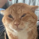 국민건강보험공단 부산서부지사 | 국민건강보험공단 인바디 검사 결과 황당