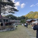 학선정펜션 | [학선정] 경북 칠곡 각종 야유회•송년회•MT•레크레이션 장소로 추천하는 이유