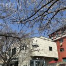 수정로466번길 | 남한산성카페 31호그집 남한산성 베이커리카페 가는길 주차