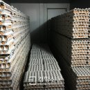 정의농장 이미지