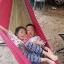 새안농장 이미지