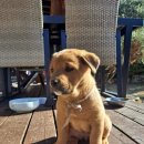 유순농장 이미지