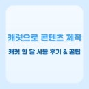 동영상 제작하기 | AI 활용해서 일상 콘텐츠 제작하기(캐럿 영상 제작 꿀팁, 한 달 사용 후기)