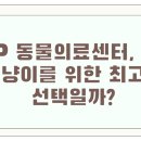 VIP동물의료센터 서초동작점 | VIP 동물의료센터, 우리 댕냥이를 위한 최고의 선택일까?