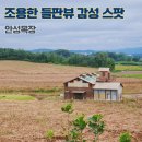 여명농장 | 안성목장 들판뷰 감성 스팟 안성 여행 숨은명소 가볼만한 곳