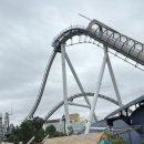 성은농장 | 3박 4일 오사카 여행 후기 3~4일차