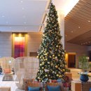 윤푸드카페 | 오키나와 호텔 추천 힐튼 오키나와 차탄 리조트 후기