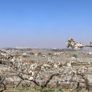 이화정농장 이미지