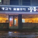 꿀통돼지