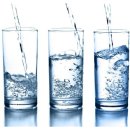 핑크덤벨 이미지