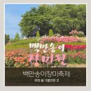 도당어울마당 | [부천 가볼만한곳] 2026 실시간 부천 장미축제 후기 | 백만송이장미원 포토존 가득한 봄나들이 추천_260525