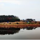 신당제 이미지