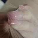 비비안스타킹 - 김해시 김해대로 2232 | <비비안 파인애플 팬티스타킹> 후기, 진짜 올은 안 나감! 근데..