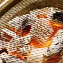 백운산장민박 | 여름 가족 여행용 광양 계곡 닭구이 산장