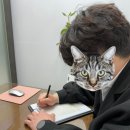 디에스푸드 | [결혼 준비] 디에스컨벤션 웨딩홀 계약 후기