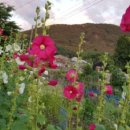 서일프라자 이미지