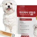 하이덴탈 네이버블로그