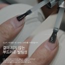 젤탑