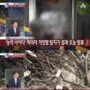 사이다소프트 이미지