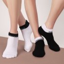 페르시안캣 이미지