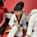 이천 MTA  태권도장 이미지