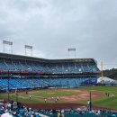삼성파크 | 대구 삼성라이온즈 파크 직관 후기 주차, 1루 좌석 시야, 먹거리 정리