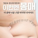 인셀덤송악