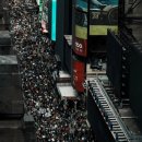 “왕관 내려놔라”…트럼프 텃밭까지 확산된 800만 ‘노 킹스’ 시위 이미지