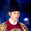 뿌리깊은나무 이미지