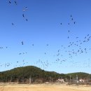 대부중고등학교 이미지