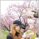 민주공원 왕겹벚꽃 이미지