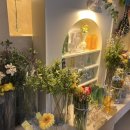 평창카센타 이미지