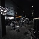 정관장 GYM 이미지