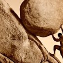 로로동물의료센터 이미지