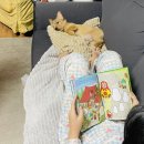 남서울동물병원 이미지