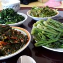 일중경로당 Daum카페